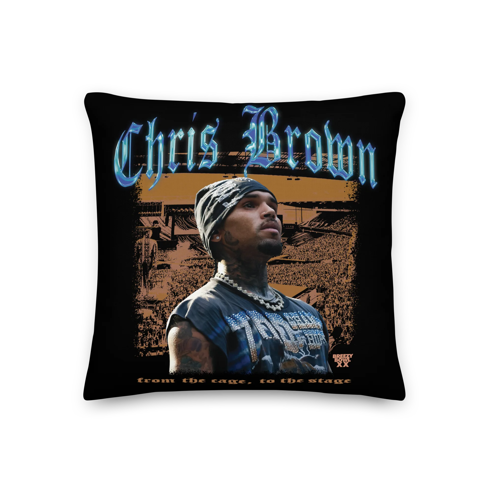 CAGE TO STAGE Premium Pillow