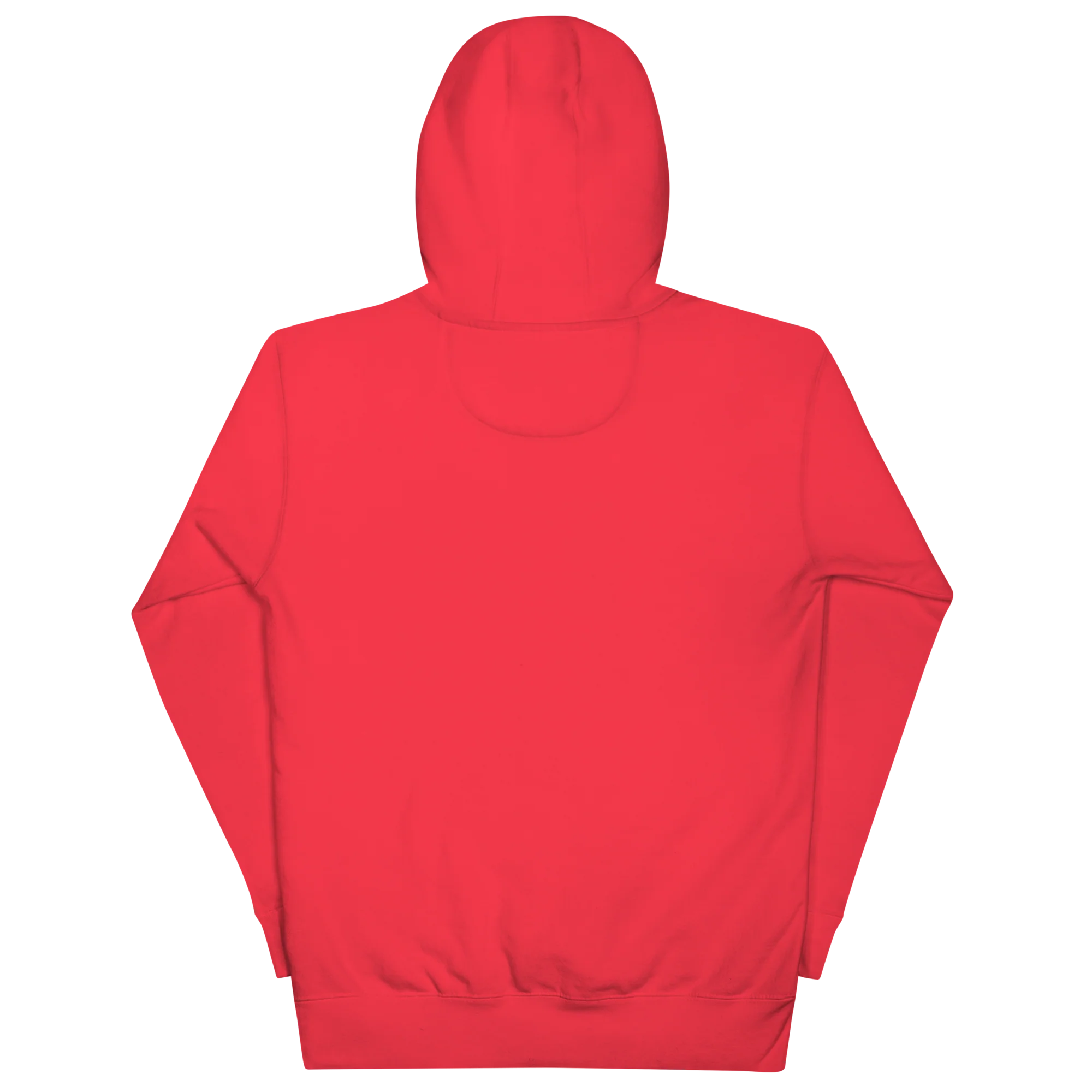 CHRIS BROWN (SELF TITLED) 20 YEAR ANNIVERSARY HOODIE - Image 2