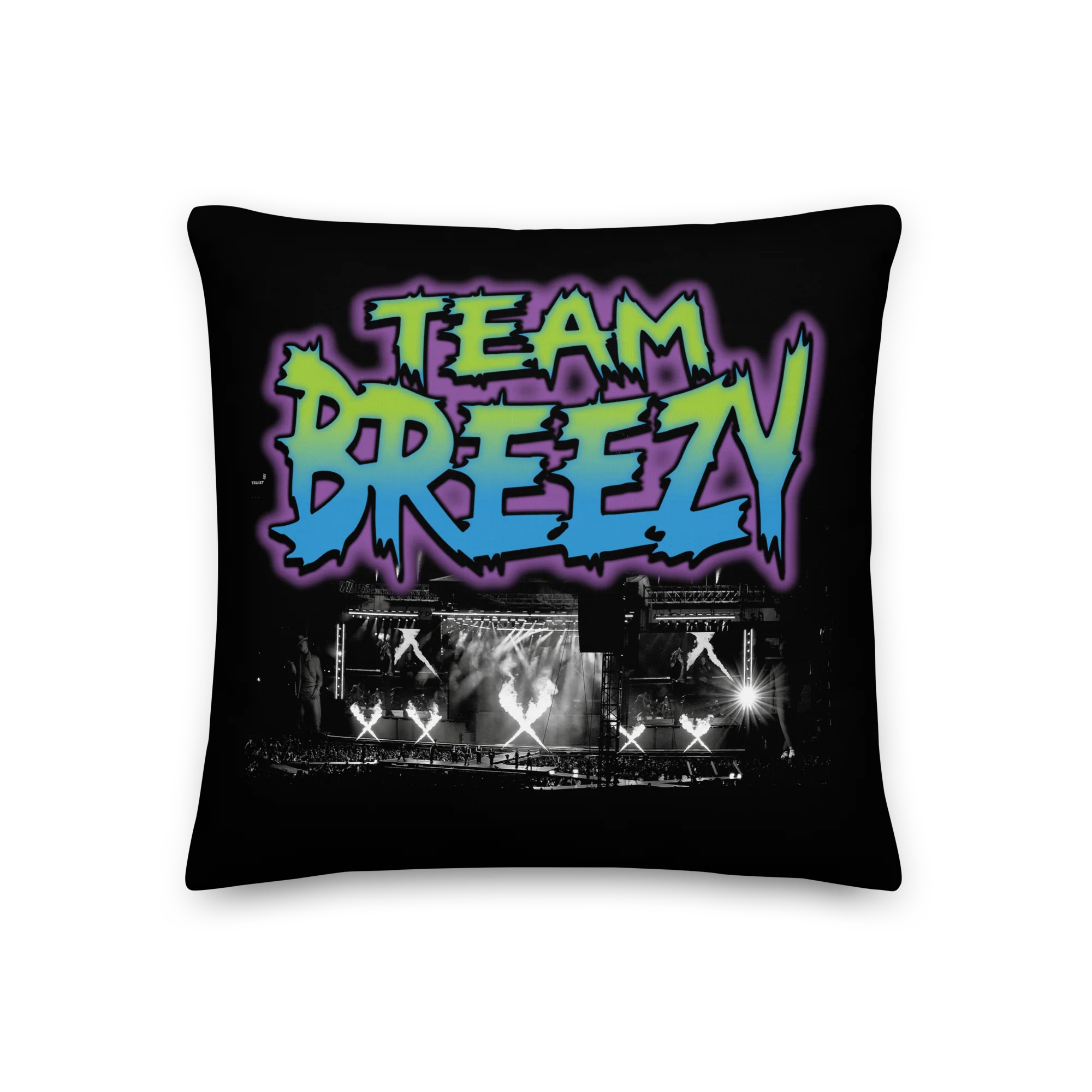 SPRING EQUINOX Premium Pillow - Image 2