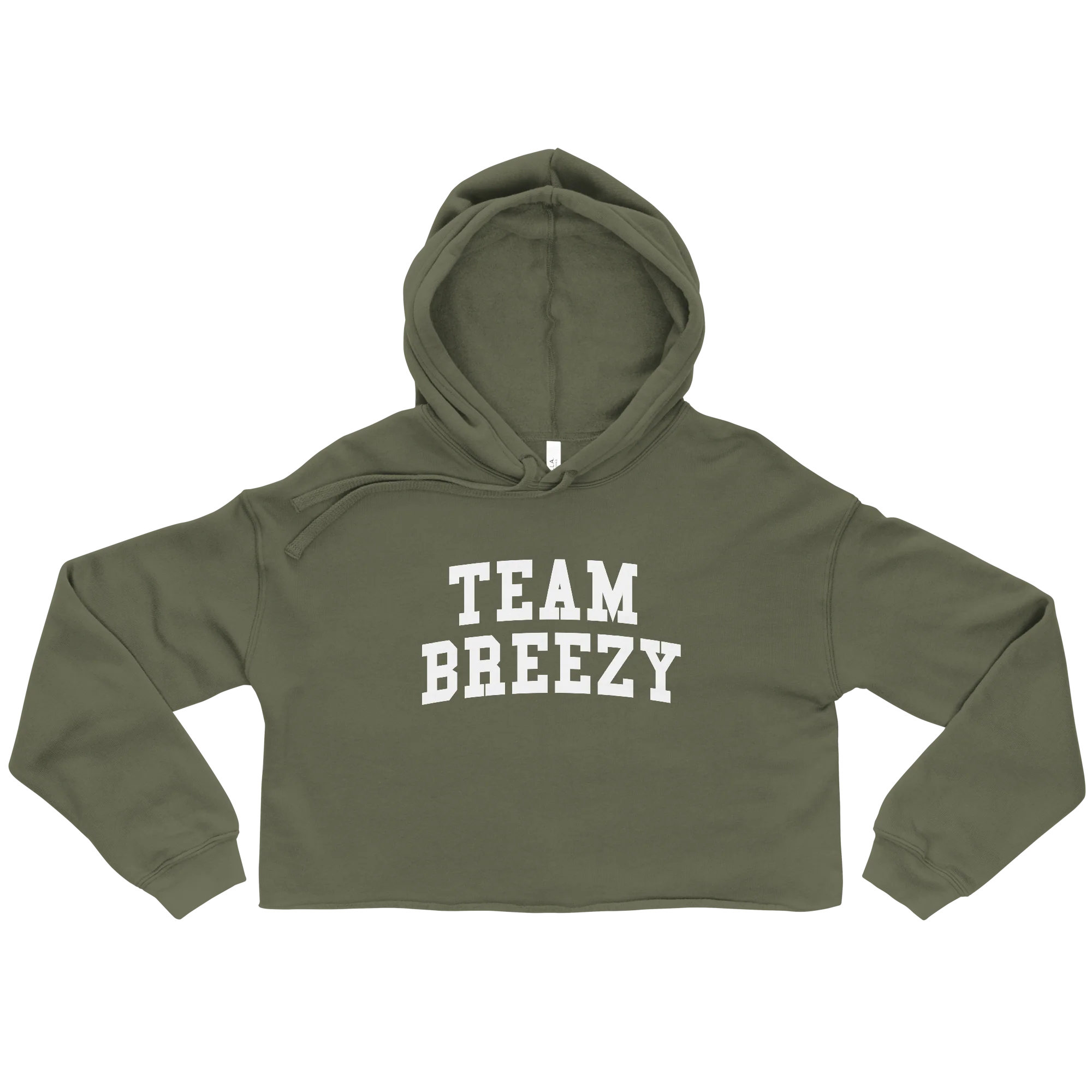 TEAM BREEZY ARCH CROP HOODIE - Image 3