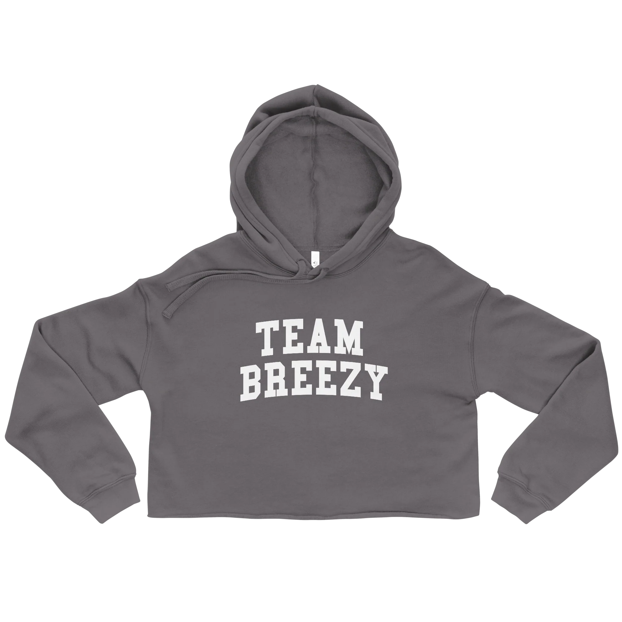 TEAM BREEZY ARCH CROP HOODIE - Image 5