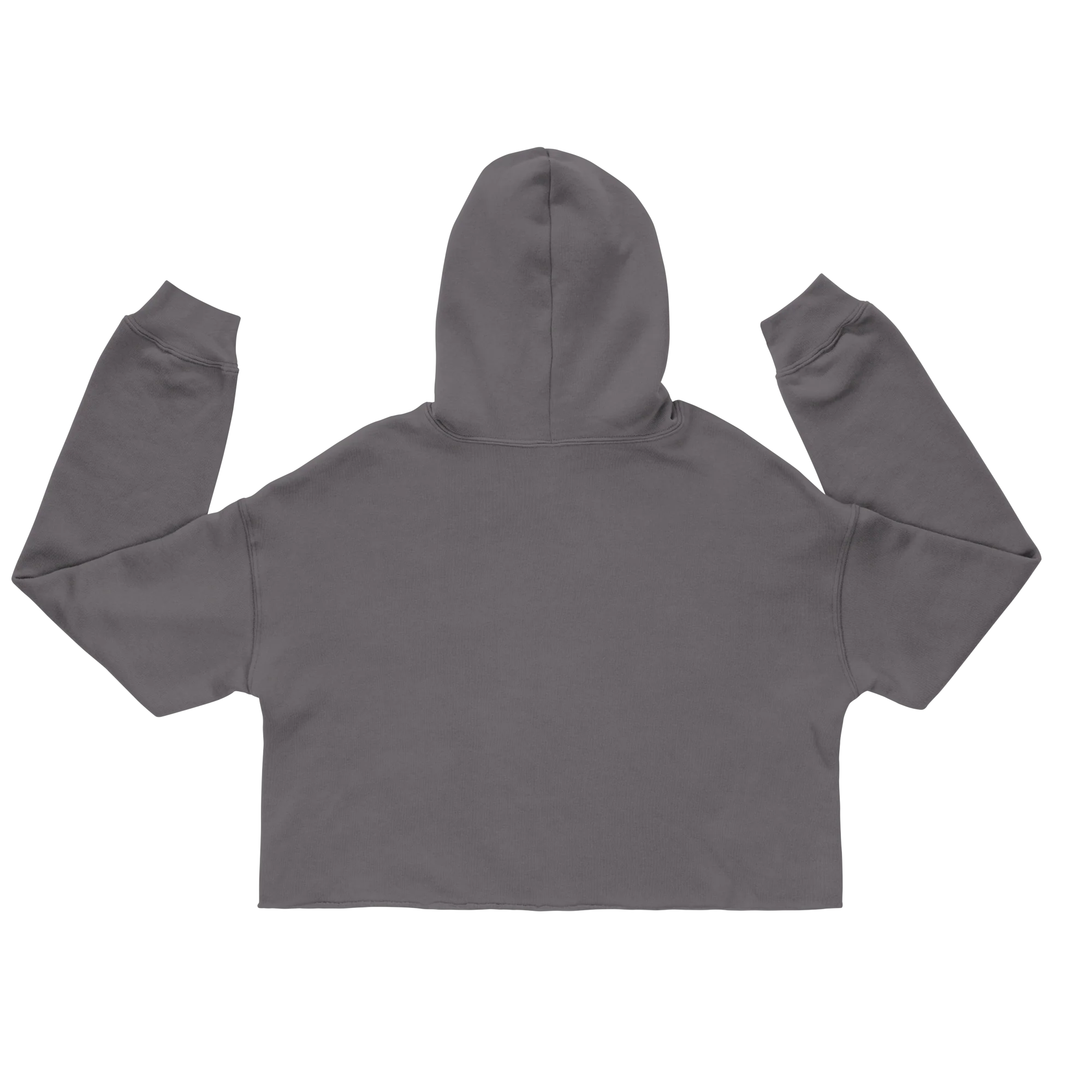 TEAM BREEZY ARCH CROP HOODIE - Image 6